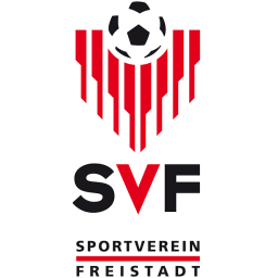 SVF Logo ICO